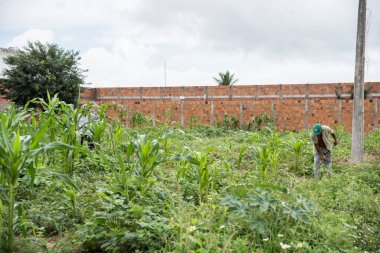 Çiftlikte çalışan çiftçilerin manzarası 