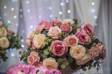 Renkli çiçeklerin yakın plan görüntüsü