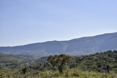 Testereli güzelliğin manzarası 
