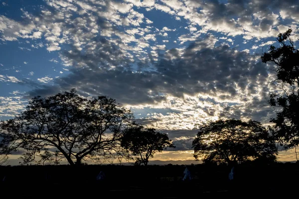 Schilderachtig Uitzicht Silhouet Van Bomen Bij Zonsondergang — Stockfoto