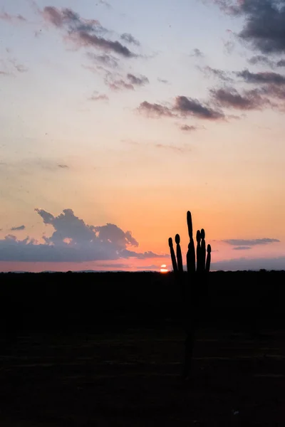 Çölde Güzel Bir Gün Batımı Manzarası — Stok fotoğraf