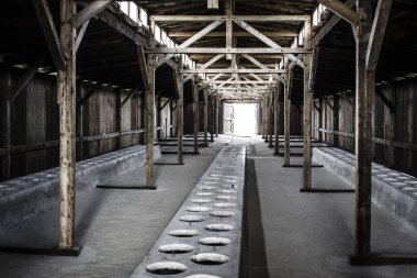 Polonya 'daki Birkenau Toplama Kampı Müzesi binaları.