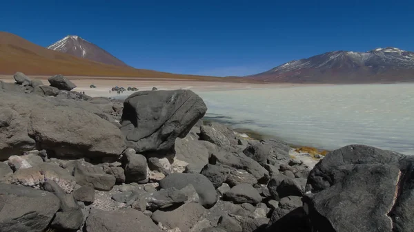 Laguna Blanca Arka Planda Potosi Deki Bolivya Dağlarındaki Licancabur Volkanı — Stok fotoğraf