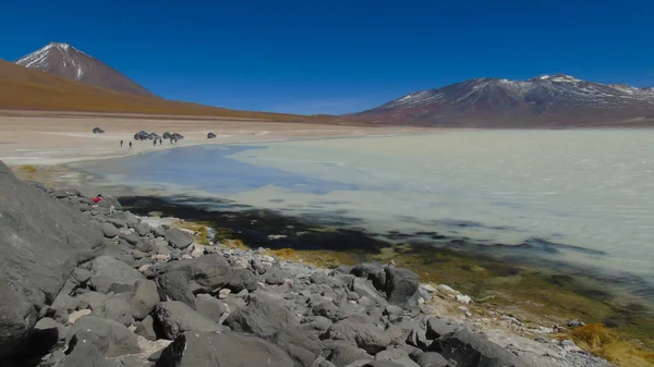 Laguna Blanca Arka Planda Potosi Deki Bolivya Dağlarındaki Licancabur Volkanı — Stok fotoğraf