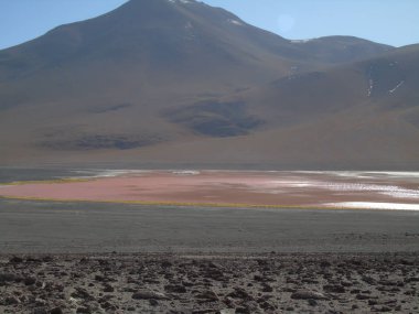 Potosi Bolivya 'daki Laguna Colorada, Salar de Uyuni yakınlarında 30,000 flamingo rezervi.