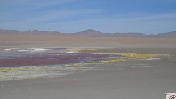 Laguna Colorada Potosi Bolivien Reserve Von 000 Flamingos Der Nähe — Stockfoto