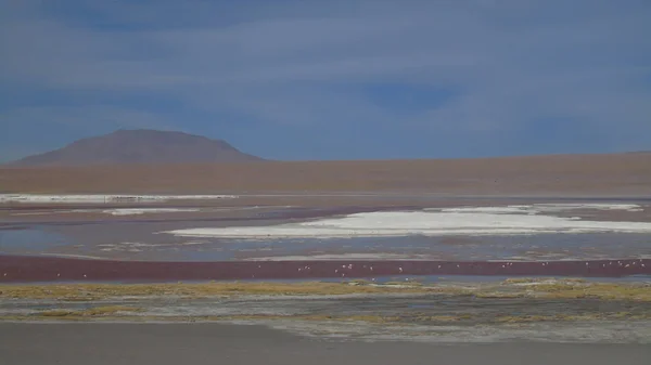 玻利维亚波托西的Laguna Color Ada Salar Uyuni附近的30 000只火烈鸟保护区 — 图库照片