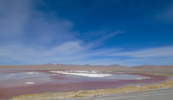 Laguna Colorada Potosi Bolivien Reserve Von 000 Flamingos Der Nähe — Stockfoto