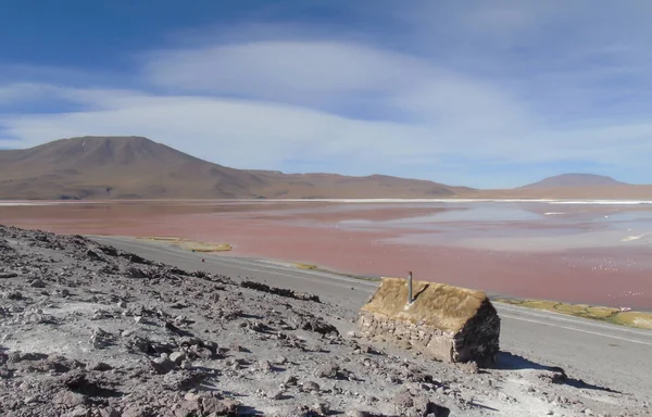 Laguna Colorada Potosi Bolivien Reserve Von 000 Flamingos Der Nähe — Stockfoto