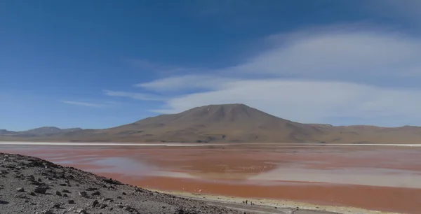 Potosi Bolivya Daki Laguna Colorada Salar Uyuni Yakınlarında 000 Flamingo — Stok fotoğraf