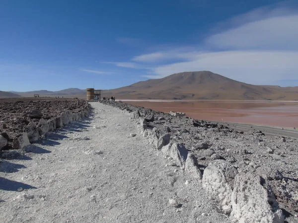 Potosi Bolivya Daki Laguna Colorada Salar Uyuni Yakınlarında 000 Flamingo — Stok fotoğraf