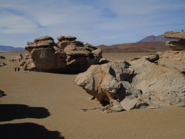 Siloli Çölü 'ndeki Taş Ağaç, Potosi Bolivya