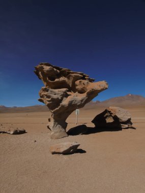 Siloli Çölü 'ndeki Taş Ağaç, Potosi Bolivya