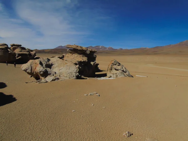 Stenen Boom Siloli Woestijn Potosi Bolivia — Stockfoto