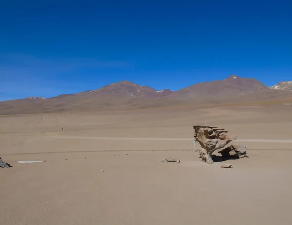 Stenen Boom Siloli Woestijn Potosi Bolivia — Stockfoto