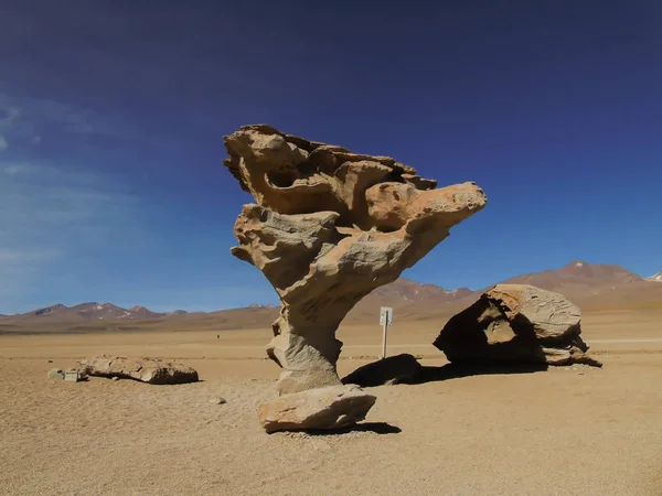 Stenen Boom Siloli Woestijn Potosi Bolivia — Stockfoto