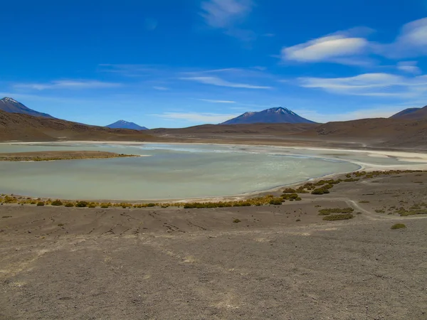 Laguna Honda Potos Puna Bolivia — 스톡 사진