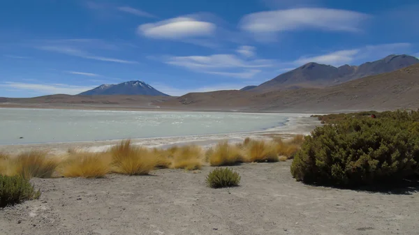 Laguna Honda Potos Puna Bolivien — Stockfoto