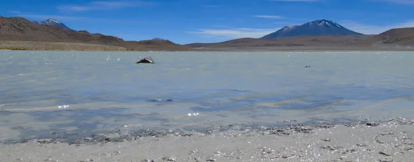 Laguna Honda Potos Puna Bolívie — Stock fotografie