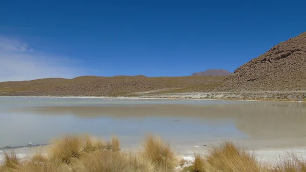 Hedionda泻湖 Hedionda Lagoon 是玻利维亚的一座咸水泻湖 位于波托斯省 靠近智利边境 — 图库照片