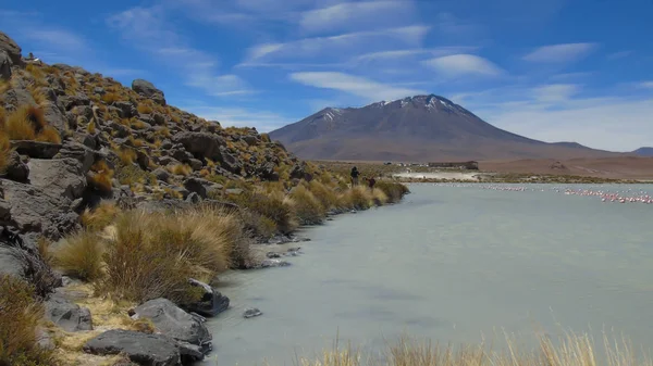 Hedionda Lagünü Şili Sınırına Yakın Potos Bölgesinde Bulunan Bir Bolivya — Stok fotoğraf