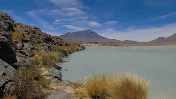 Hedionda Lagoon 근처에 포토스 볼리비아의 석호이다 — 스톡 사진