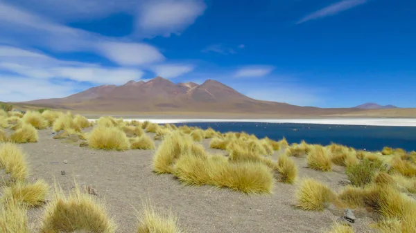 Caapa Lagoon Potos Bölgesi Nde Bulunan Bir Bolivya Tuzlu Gölüdür — Stok fotoğraf