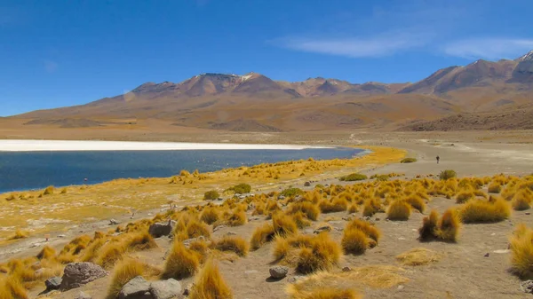 Caapa Lagoon Potos Bölgesi Nde Bulunan Bir Bolivya Tuzlu Gölüdür — Stok fotoğraf