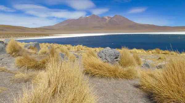 Caapa Lagune Ist Eine Bolivianische Salzwasserlagune Departement Potos — Stockfoto