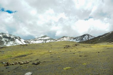 And Dağları 'ndaki Cusco Peru' daki Taş Ormanı