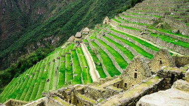 İnka İmparatorluğu 'nun terasları veya tarım platformları Machu Picchu Cusco