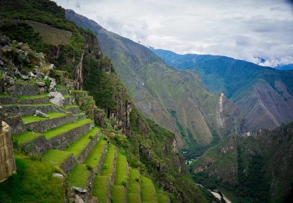 Las Terrazas Plataformas Agrícolas Del Imperio Inca Machu Picchu Cusco — Foto de Stock