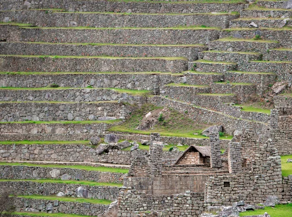 Las Terrazas Plataformas Agrícolas Del Imperio Inca Machu Picchu Cusco — Foto de Stock