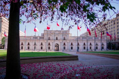 Palacio La Moneda, başkanlık sarayı, Santiago de Chile, Şili