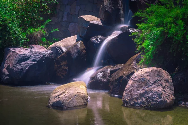 Japanese Garden Located Santiago Chile — 스톡 사진