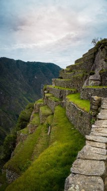 İnka İmparatorluğu 'nun terasları veya tarım platformları Machu Picchu Cusco