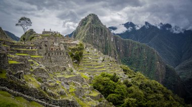 Machu Picchu 'nun Büyük Panoramisi, Cusco Peru