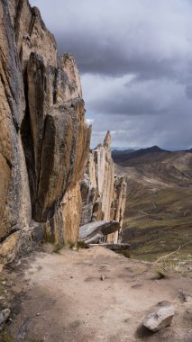 And Dağları 'ndaki Cusco Peru' daki Taş Ormanı