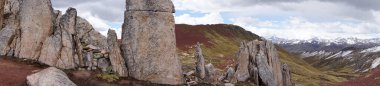 And Dağları 'ndaki Cusco Peru' daki Taş Ormanı