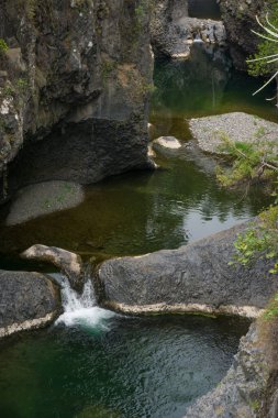 Şili 'nin Maule bölgesinde Radal 7 Kupa