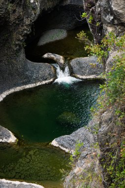 Şili 'nin Maule bölgesinde Radal 7 Kupa
