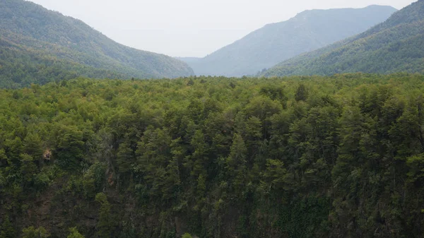Maule Şili bölgesinde Radal Milli Parkı 7 kupa