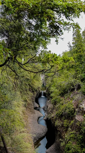 Radal Εθνικό Πάρκο Φλιτζάνια Στην Περιοχή Του Maule Χιλή — Φωτογραφία Αρχείου