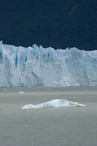 Glacier Gris Dans Lac Gris Dans Champ Glace Patagonie Méridionale — Photo