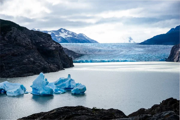 Şili 'deki Buzul Gri Torres del Paine