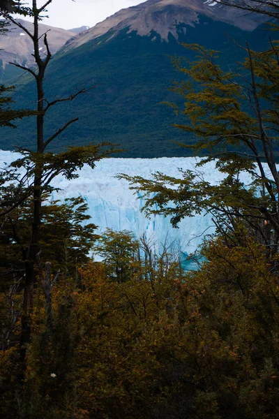 Панорама Ледника Перито Морено Патагонии Южная Америка Осень — стоковое фото