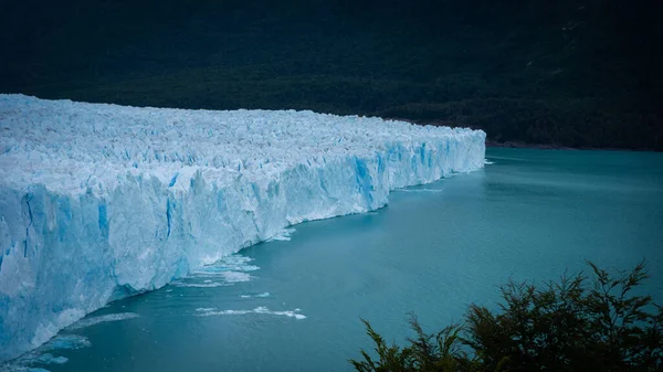 Calafate Jeges Vidéke Jéghegy Erdő Dél Patagóniai Jégmező Széléhez Közeli — Stock Fotó