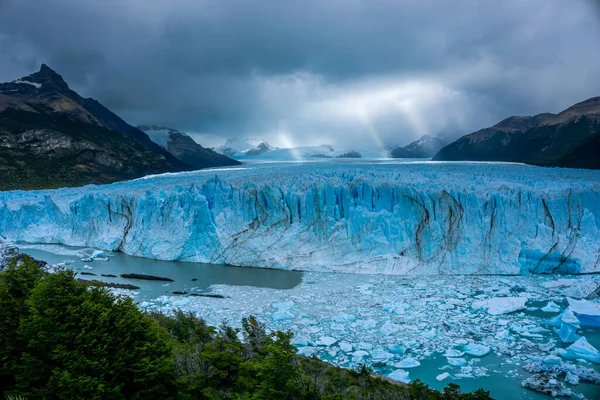 Isvägg Glaciär Med Några Isbitar Vattnet Framför Skog Perito Moreno — Stockfoto