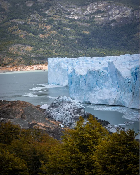 Isvägg Glaciär Med Några Isbitar Vattnet Framför Skog Perito Moreno — Stockfoto