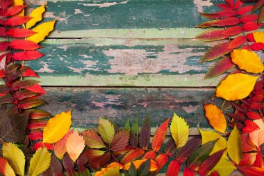 Kopya alanı ile eski yeşil ahşap arka plan üzerinde sonbahar akçaağaç yaprakları
